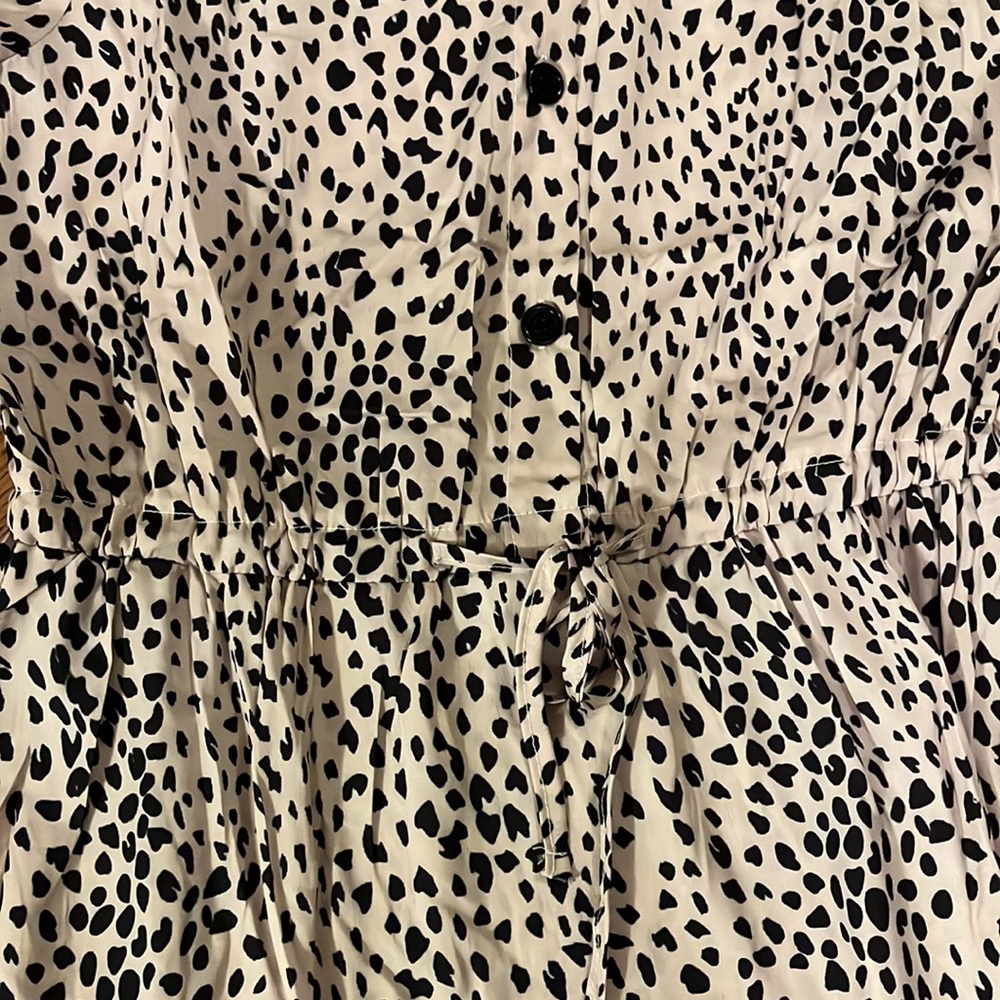 Button-up Dress - Picture 7 of 7